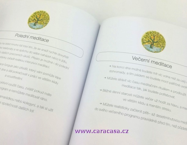 MALÁ KNIHA MEDITACÍ - ilustrovaný průvodce ke krátkým vedeným meditacím pro zklidnění mysli, těla i duše